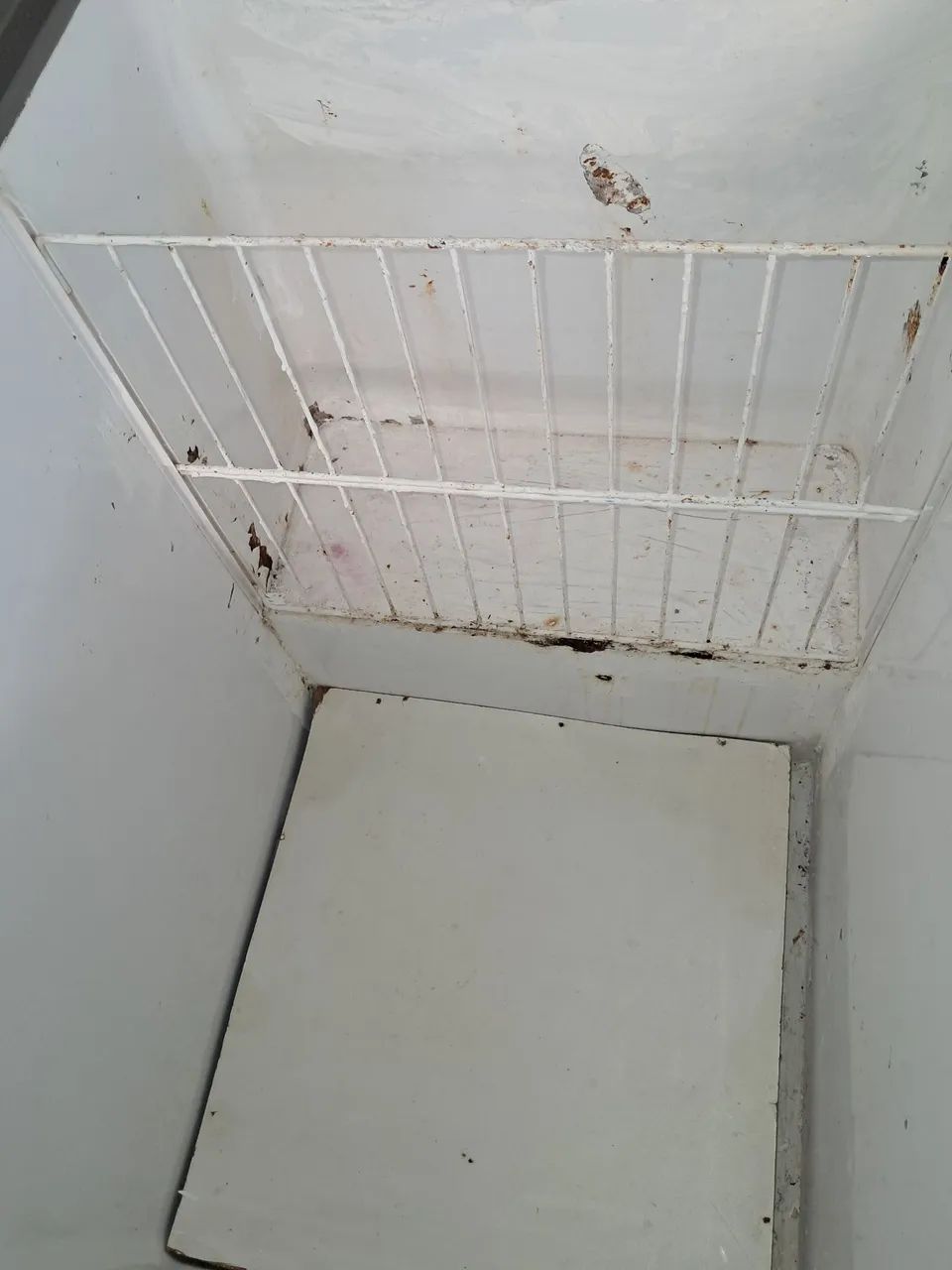 Freezer  - Foto 3