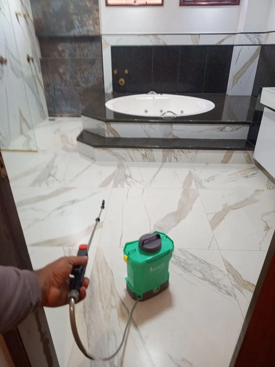 Dedetização e Desratização Profissional  - Foto 3