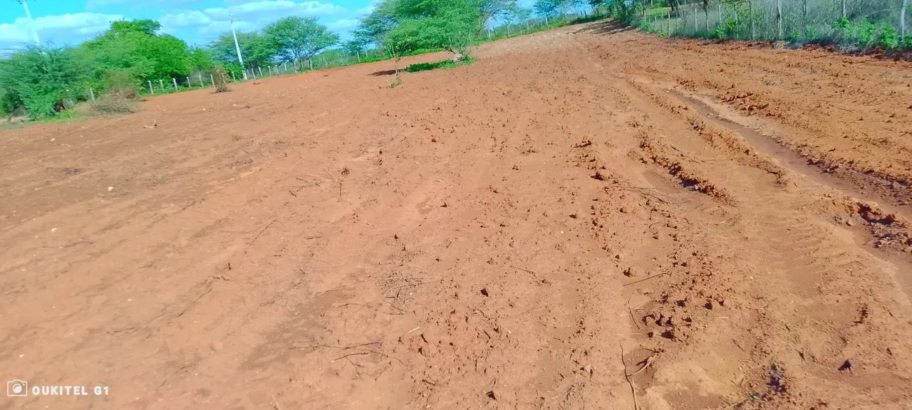 Uma tarefa em Irecê Bahia  - Foto 2