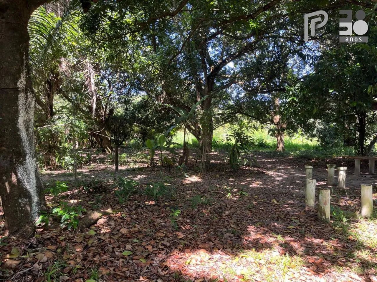 Área à venda, 40.000 m² por R$ 8.000.000,00 - Maiobinha - São Luís/MA - Foto 4