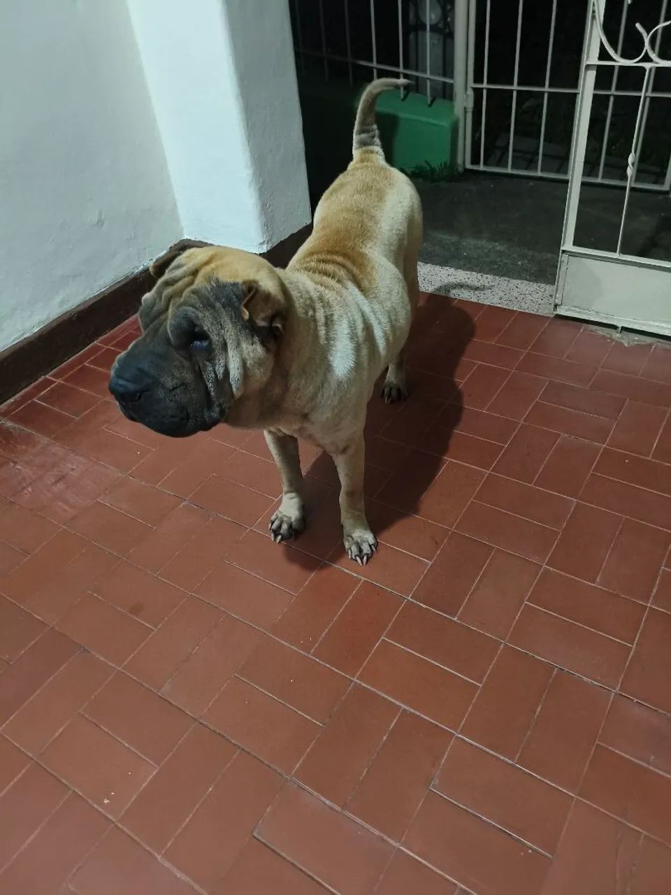 Doação  - Foto 2
