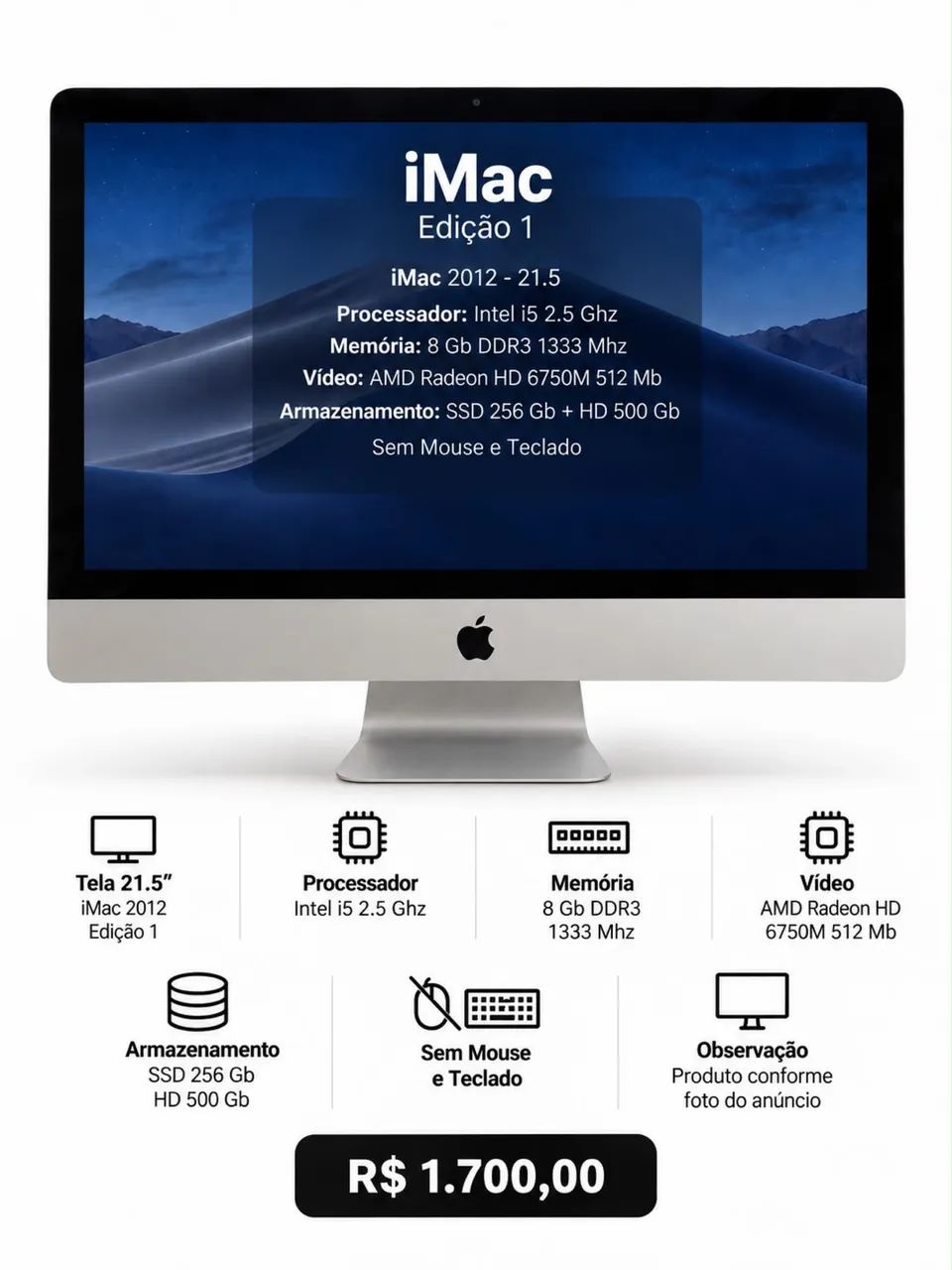 iMac 21.5 Intel Core i5 | 8 GB RAM | SSD 256 GB + HD 500 GB