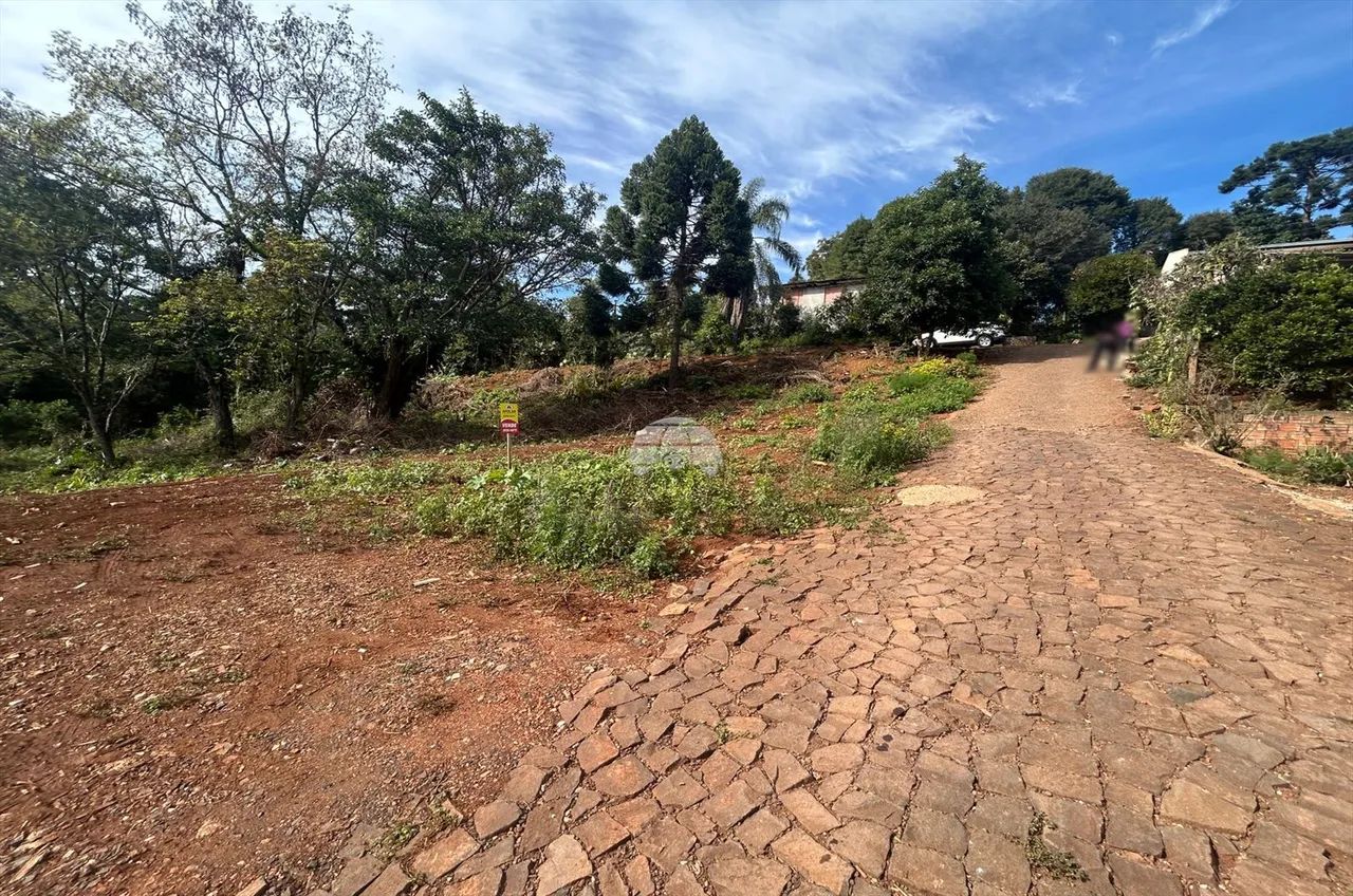 Vendas Terreno Pato Branco PR - Foto 4