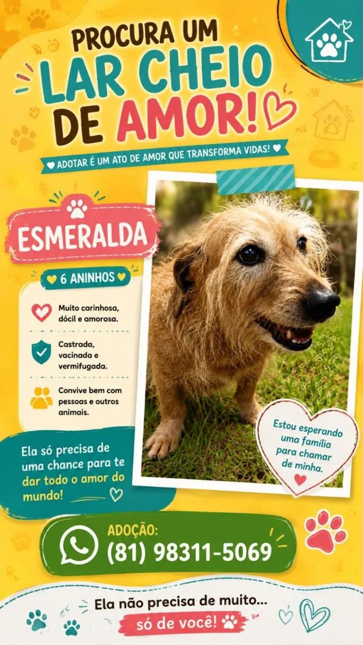 Cachorro Dócil  - Foto 2