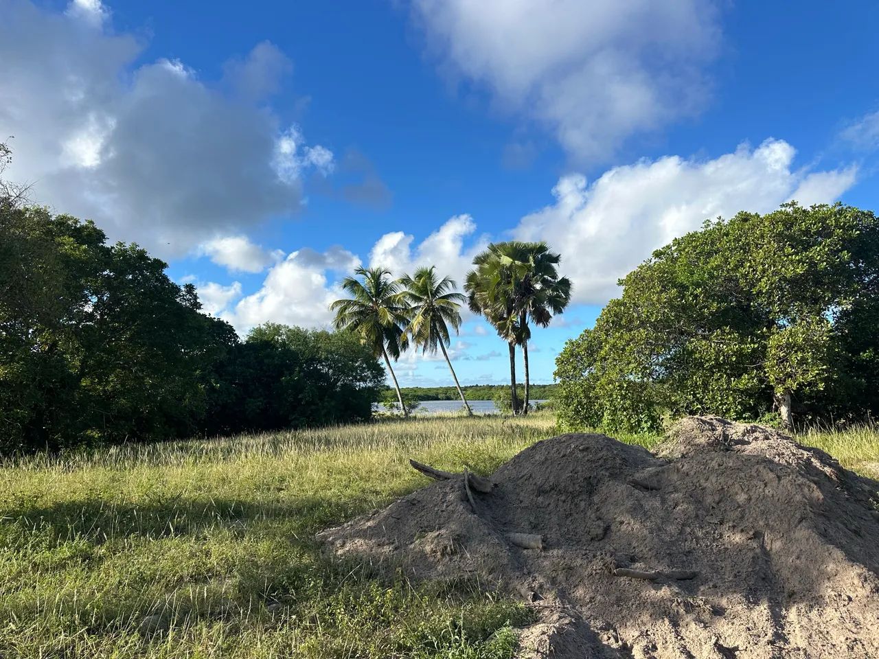 VENDO TERRENOS EM BEIRA DE RIO - SÃO JOSÉ  - Foto 4