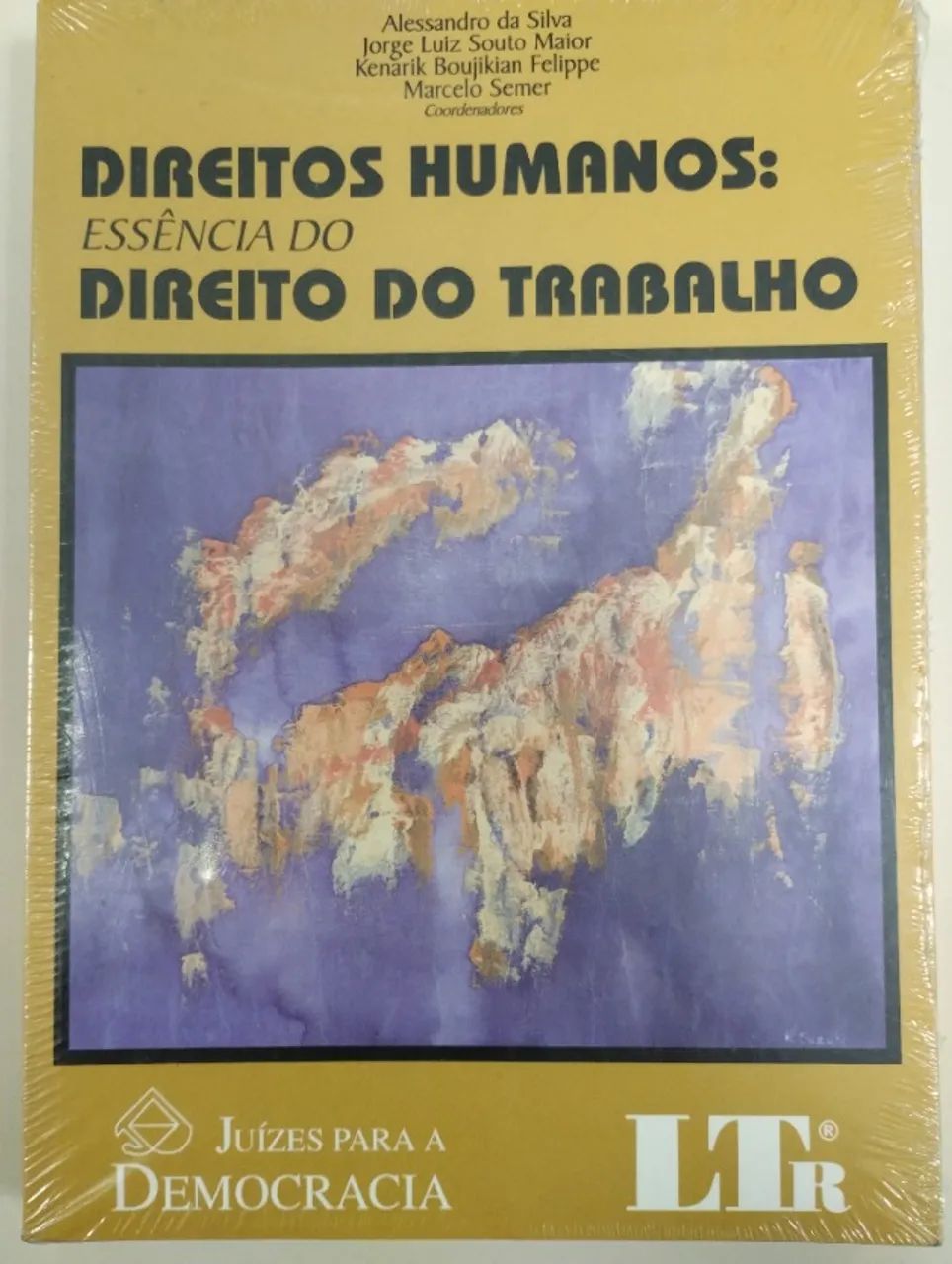 Livro: Direitos humanos: essência do trabalho