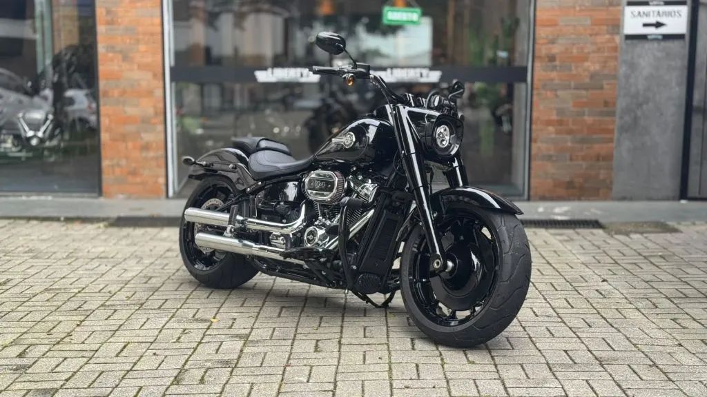 FAT BOY FLFBS - Foto 2