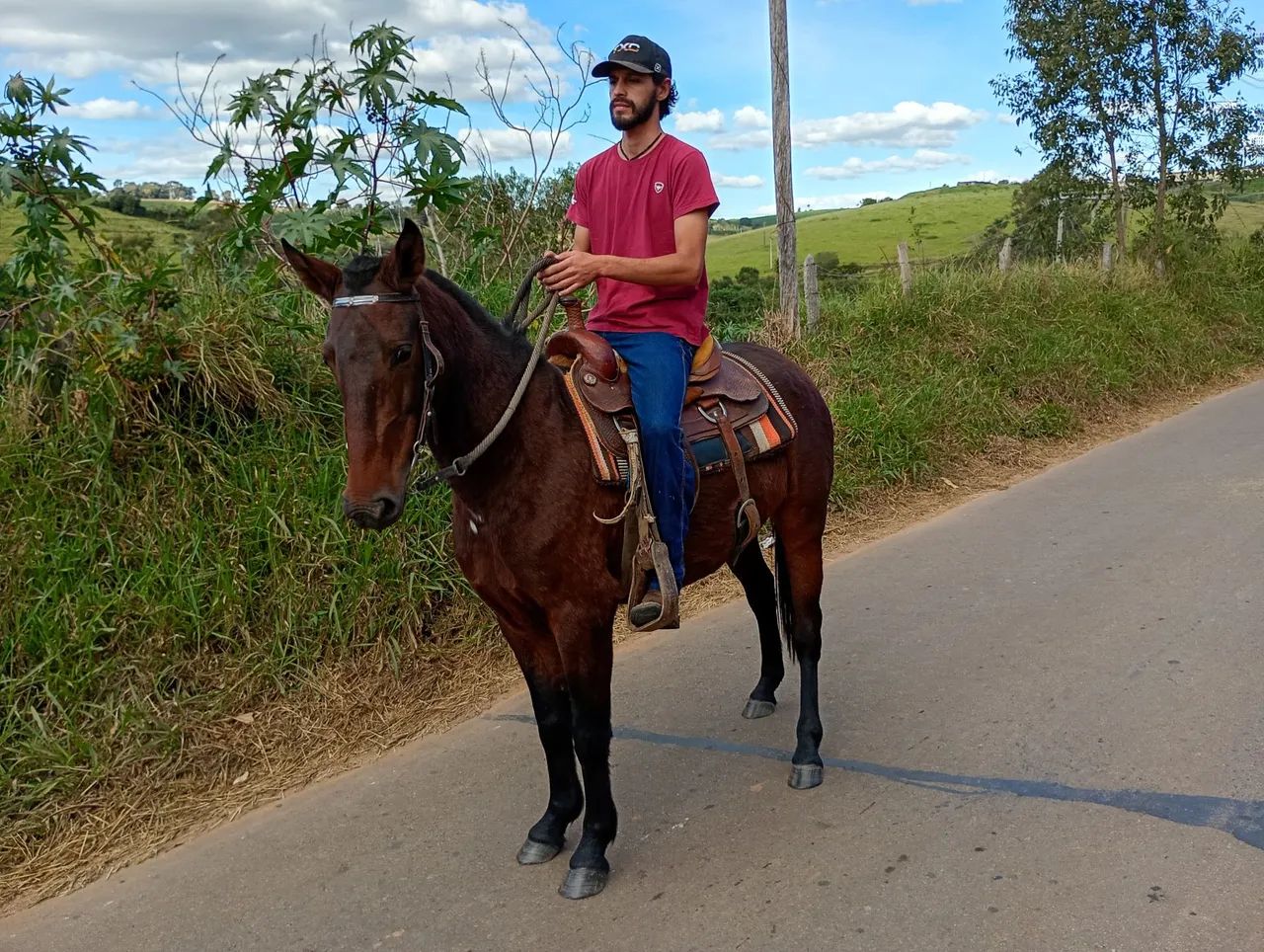 Égua castanha!