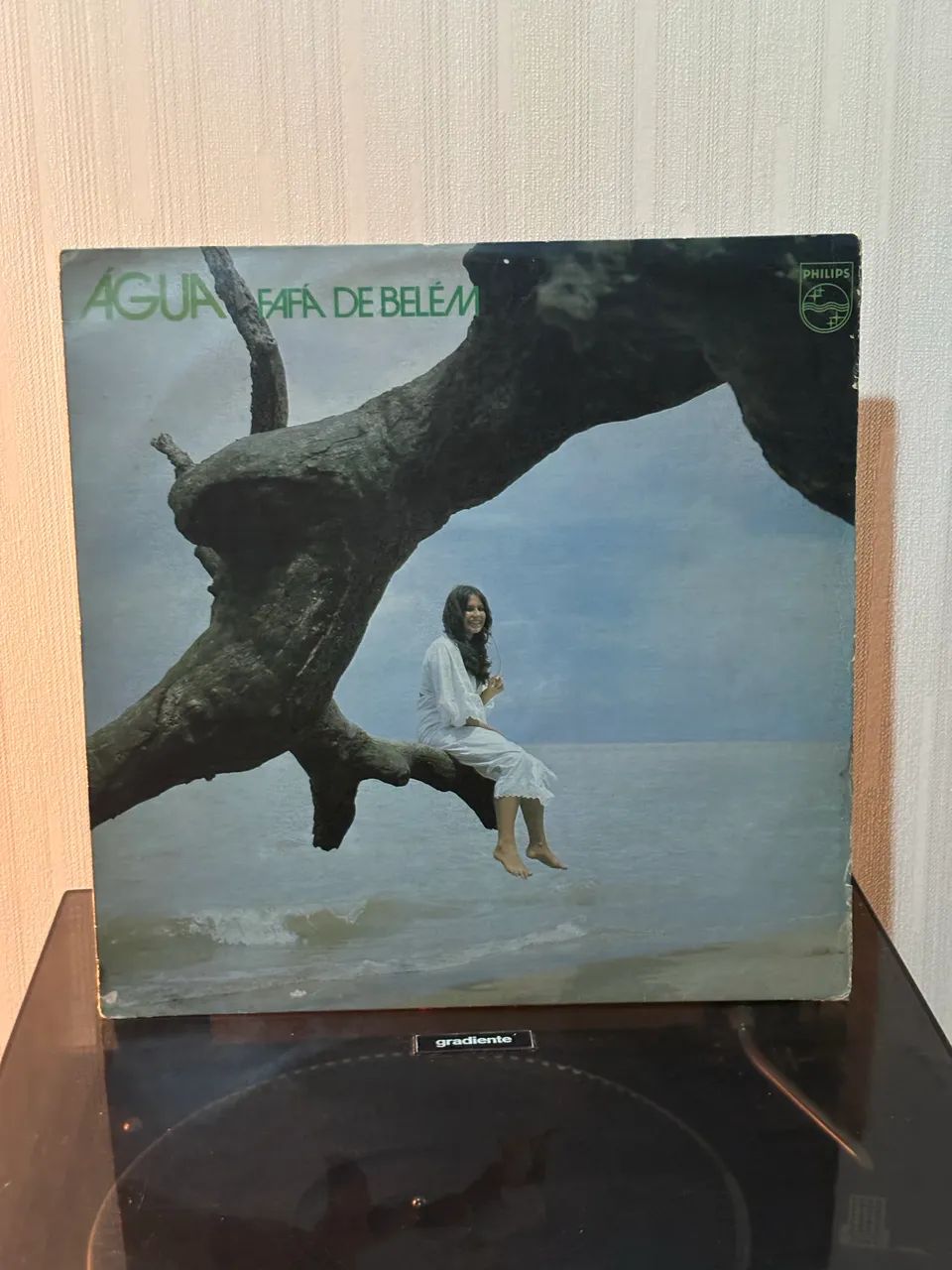 Fafá de Belém - Água