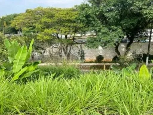Terreno em Boaçava - São Paulo - Foto 3