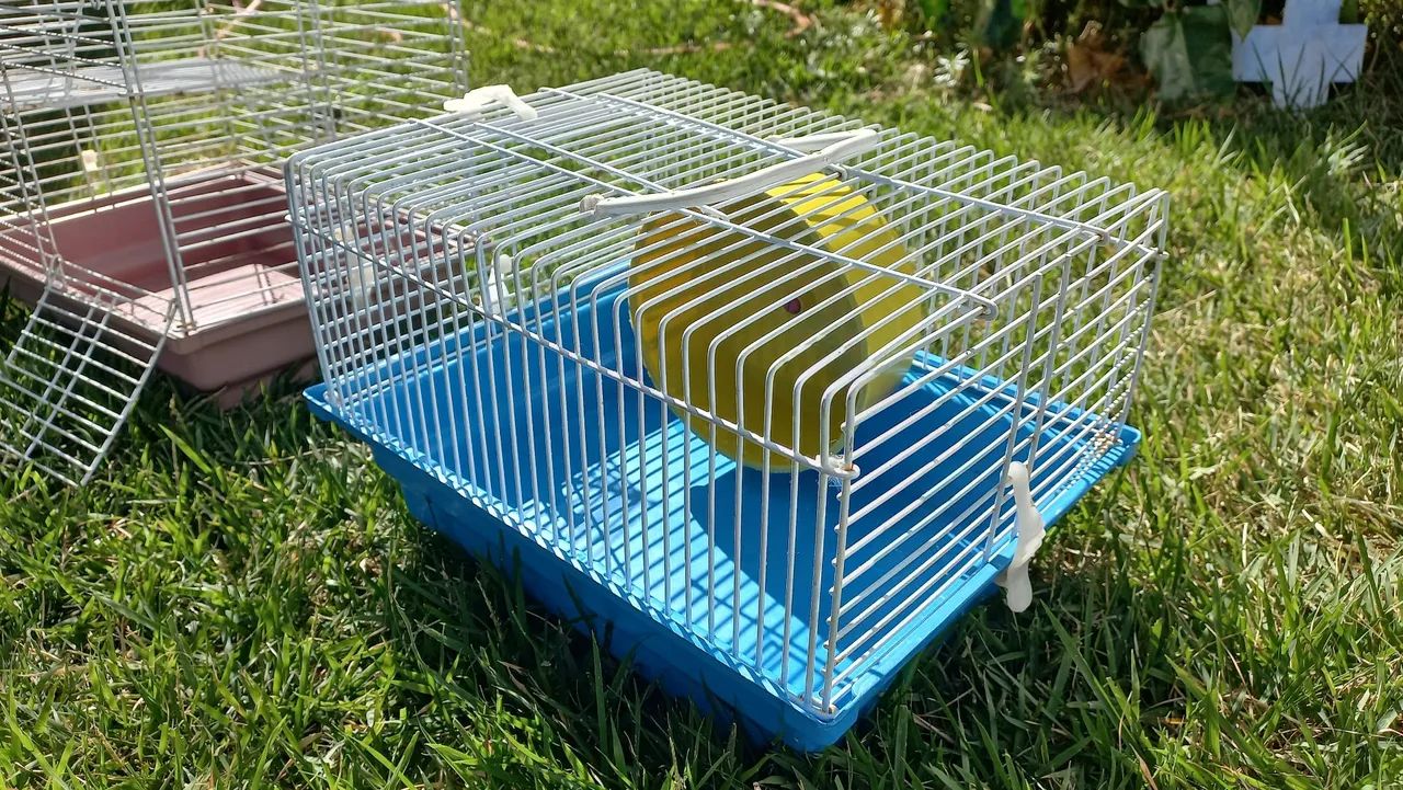 Gaiola Hamster - Foto 2