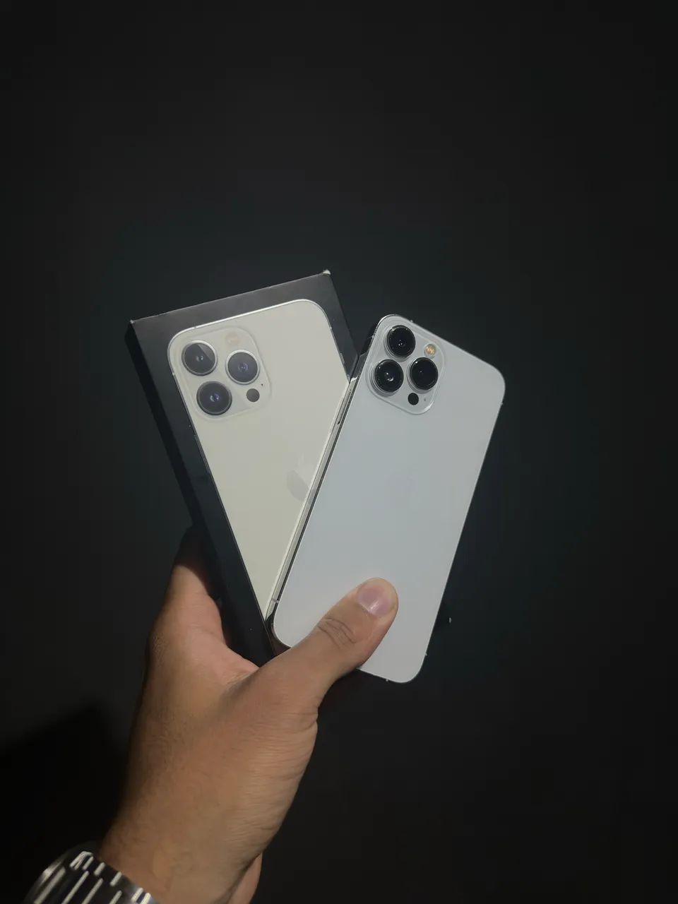 Iphone 13 pro max 