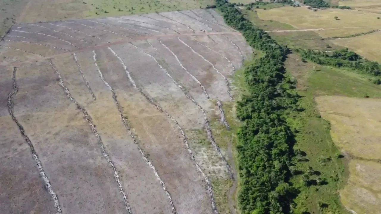 Fazenda 236,38 alqueires (1.144,12 hectares) Pium - To - Foto 2