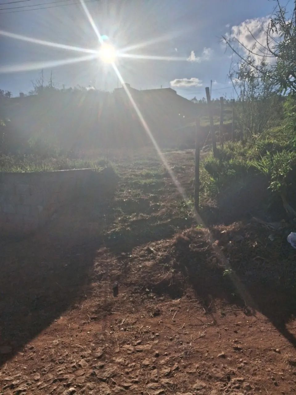 lote - Foto 3