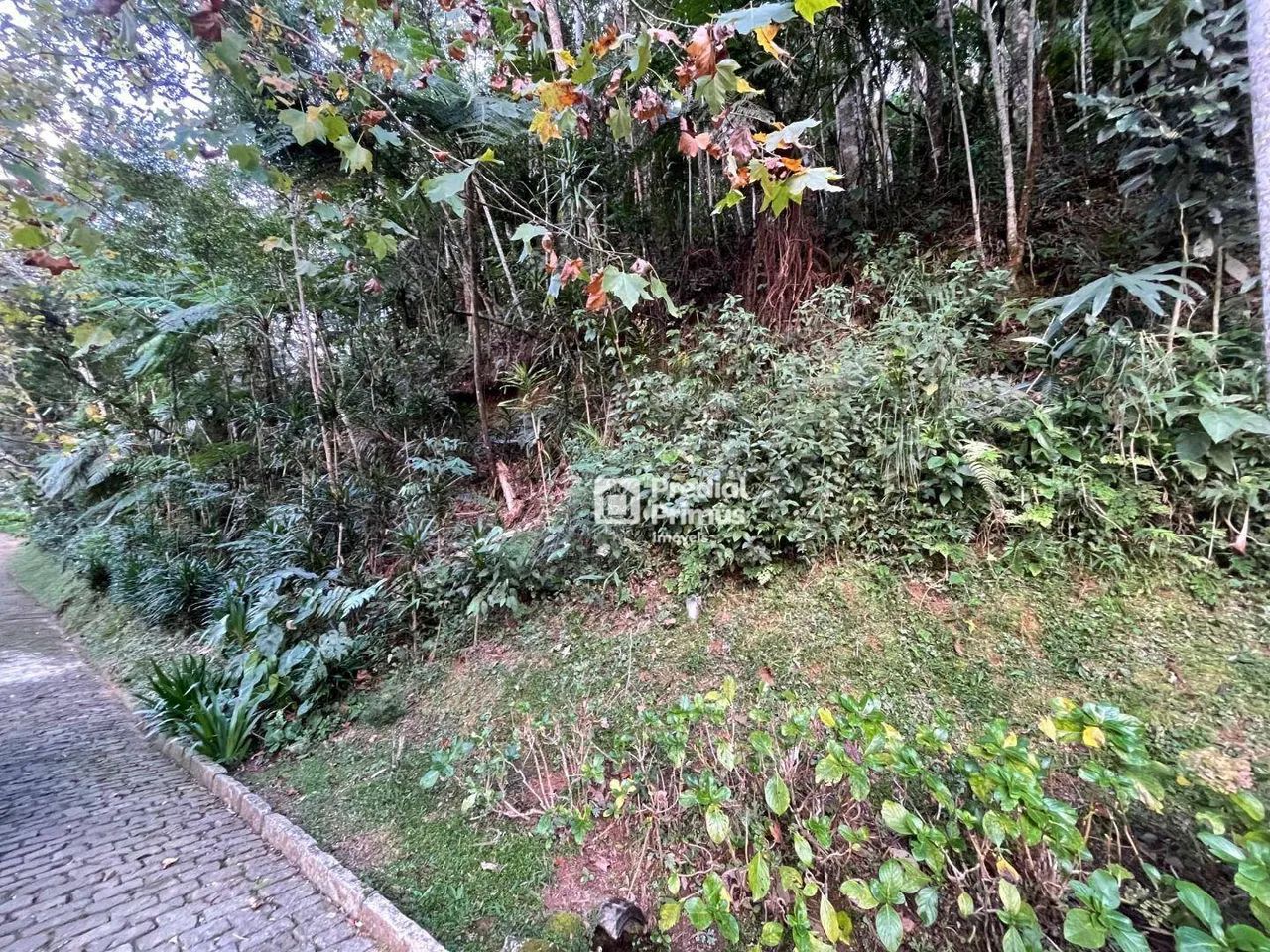 Terreno com RGI , 2345 m² à venda por R$ 350.000 - Mury - Nova Friburgo/RJ - Foto 6