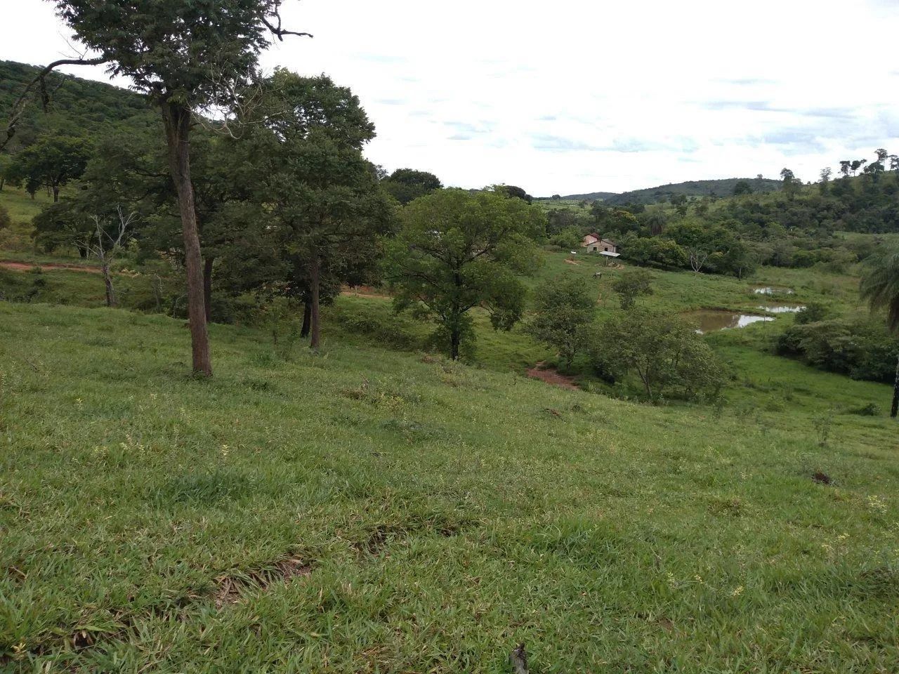 FAZENDA RURAL em Pará de Minas - Minas Gerais, Centro - Foto 2
