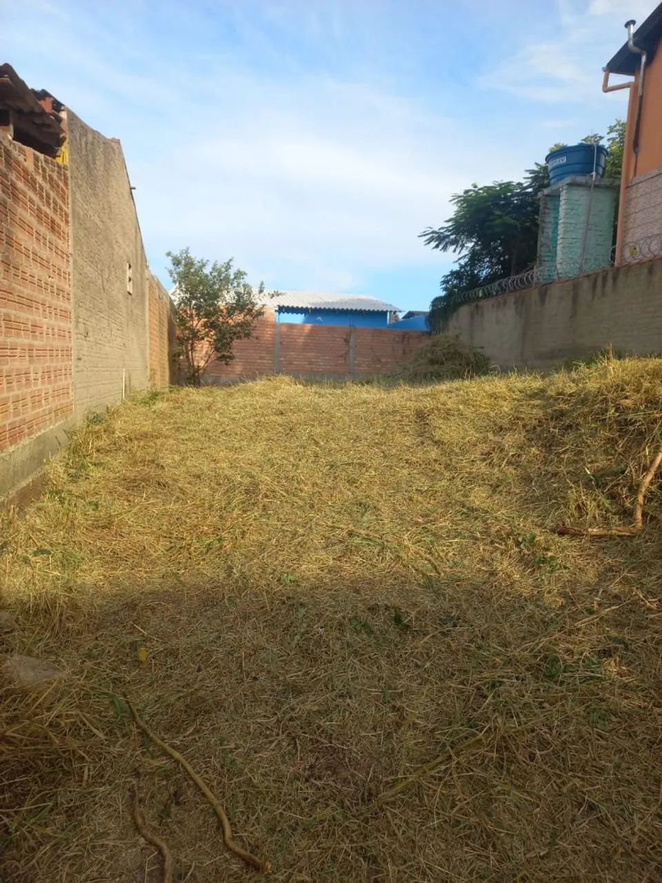 Terreno
