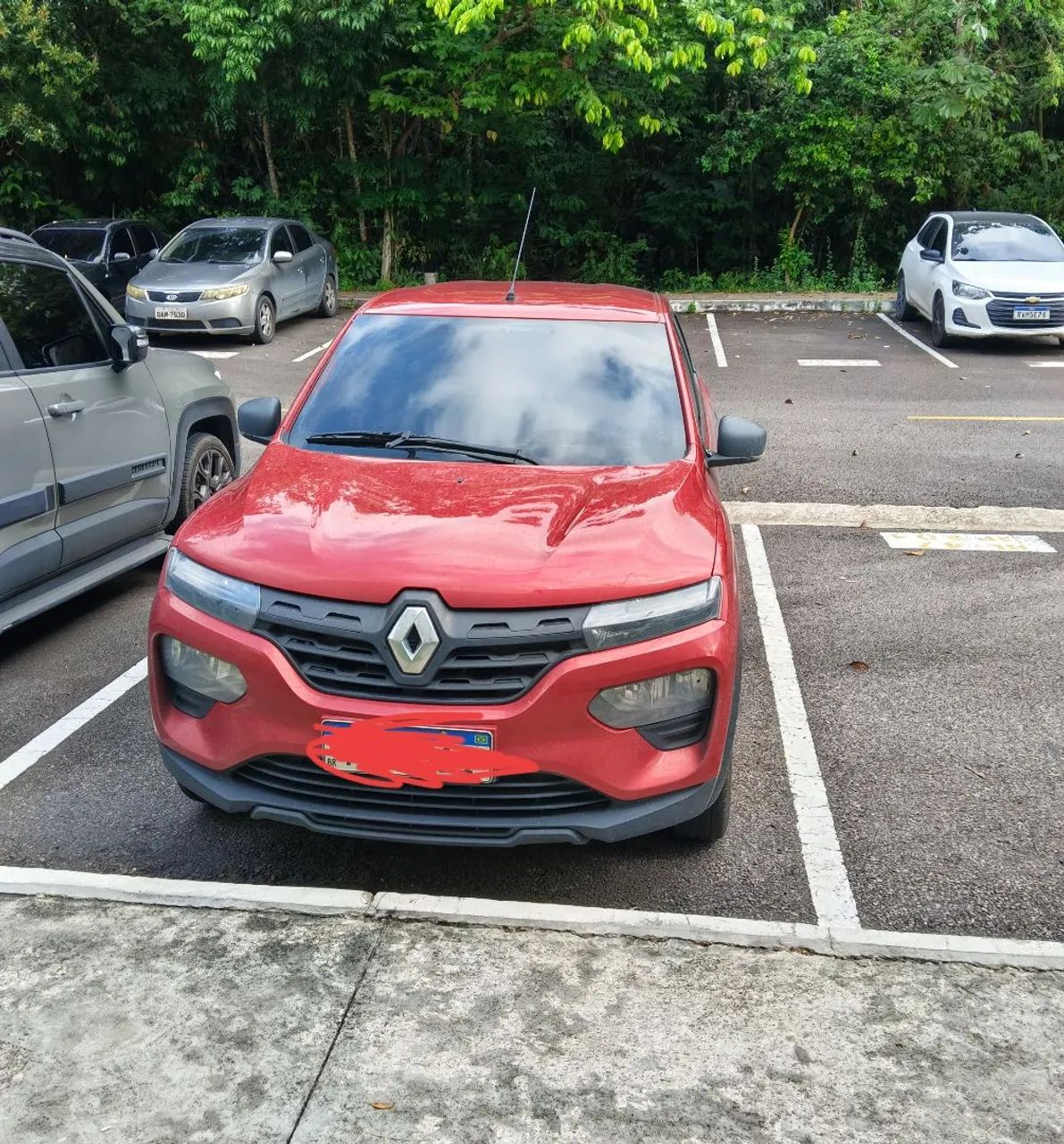 Condução escolar 2026