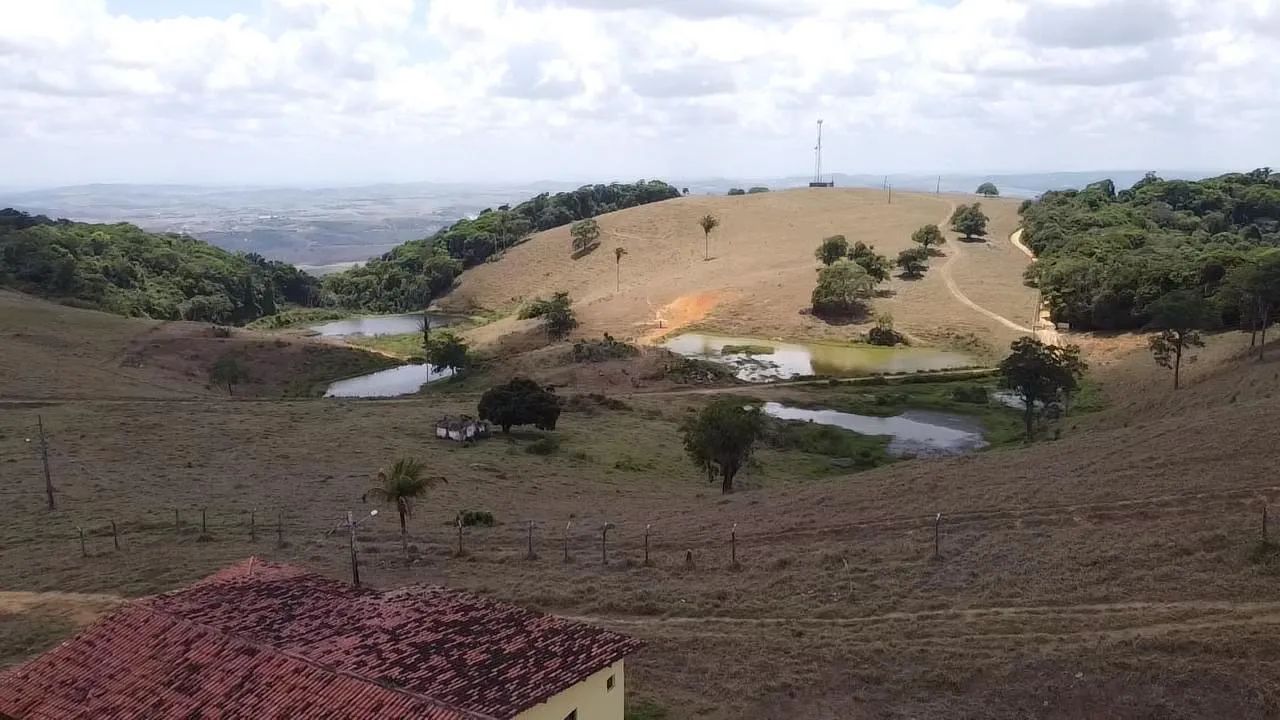 Excelente Fazenda !! 