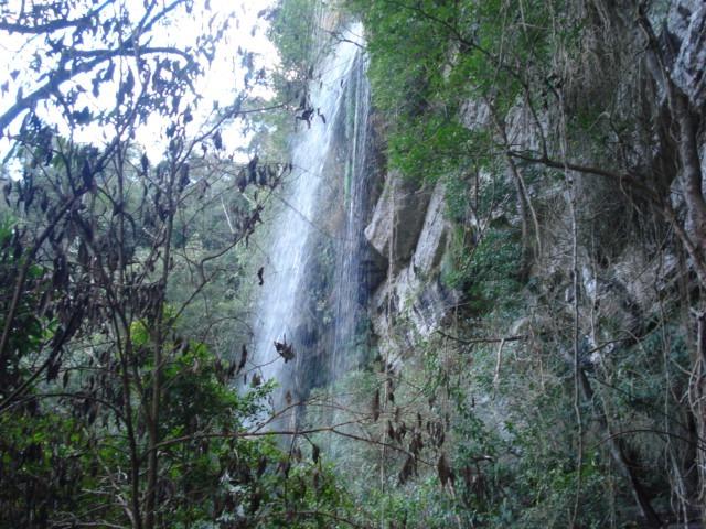 Alfredo Wagner , Serra Catarinense 8,0 hectares