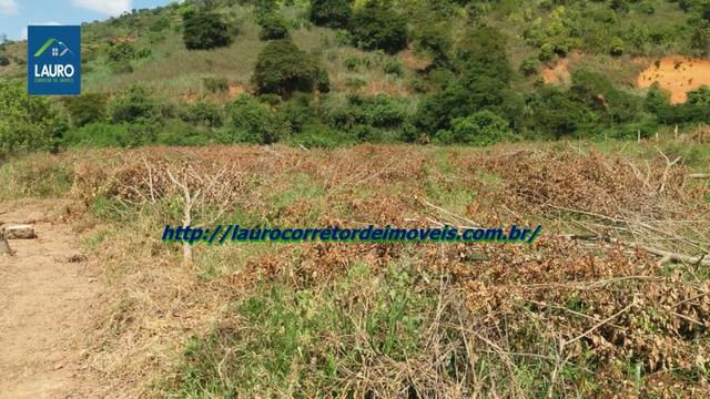 Chácara com 5.000 m² no Vila Ramos - Foto 3