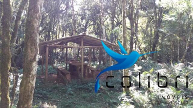 Terreno para formar chácara de lazer em agudos do sul - pr - Foto 14