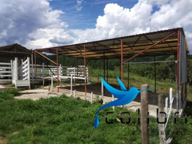 Chácara pronta para criação de gado em mandirituba - Foto 7