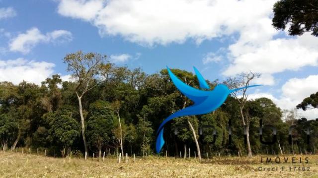 Linda área para lazer ou preservação em agudos do sul - pr - Foto 8