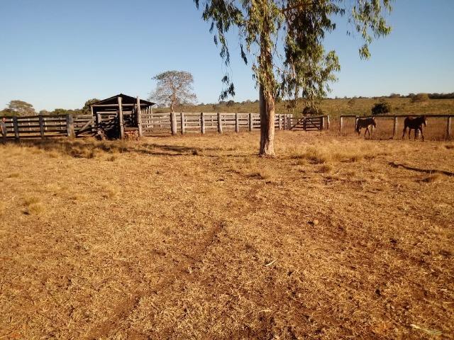 Fazenda com 1.940 hectares na estrada do manso ha 45 km de Cuiabá - Foto 18