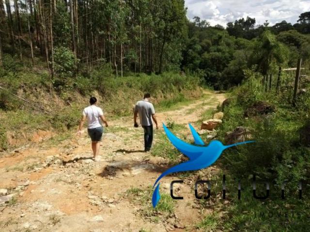 Chácara pronta para criação de gado em mandirituba - Foto 14