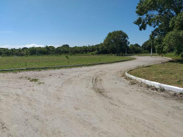 Jô - Lotes - medindo 200 m² - Foto 2