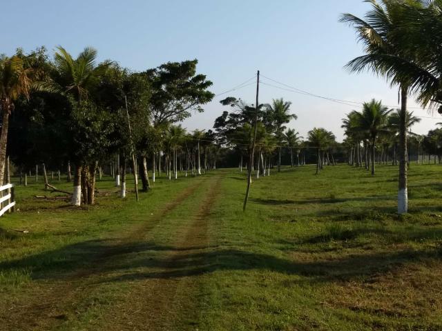 Jô - Lotes com pg parcelado - Foto 3