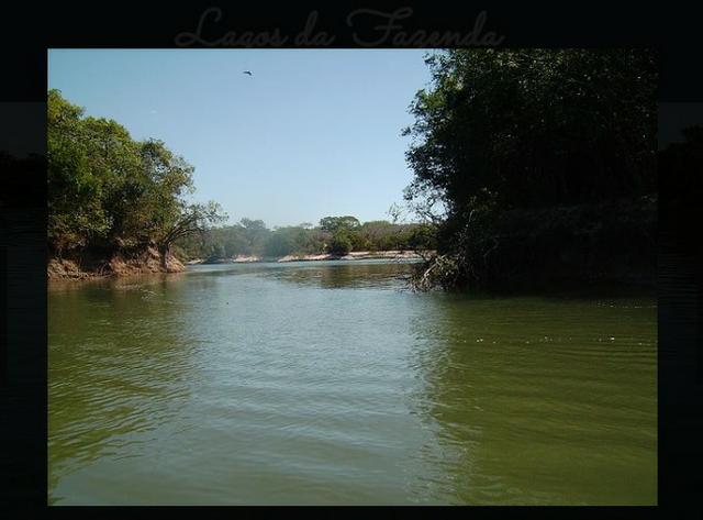 Vendo uma fazenda de 10.257 hectares, em Cocalinho- mt - Foto 10