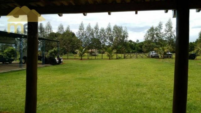 Sítio com 1 dormitório à venda, 96800 m² por R$ 590.000,00 - Zona Rural - Martinópolis/SP - Foto 11