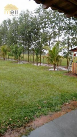 Sítio com 1 dormitório à venda, 96800 m² por R$ 590.000,00 - Zona Rural - Martinópolis/SP - Foto 20