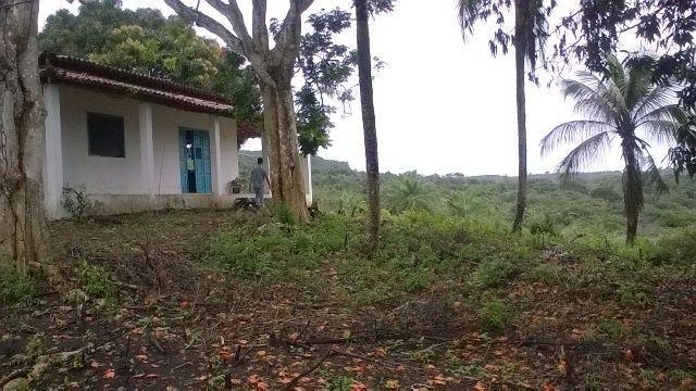 Vendo fazenda em Araçás ba - Foto 8
