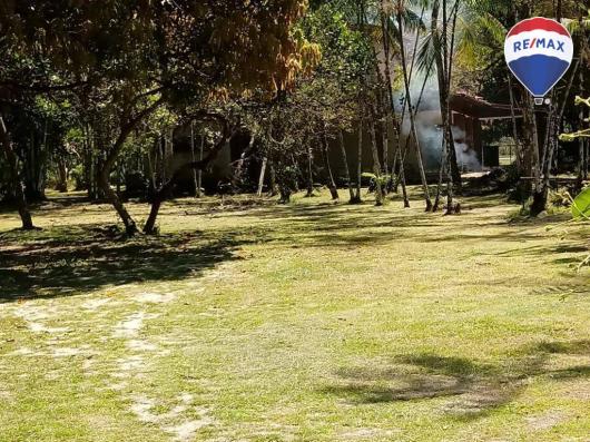 Terreno BR 316- Frente a Heineken com 87.000 m² - Região Metropolitana Belém/PA - Foto 11