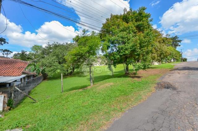 Terreno à venda em Uberaba, Curitiba cod:146250 - Foto 11