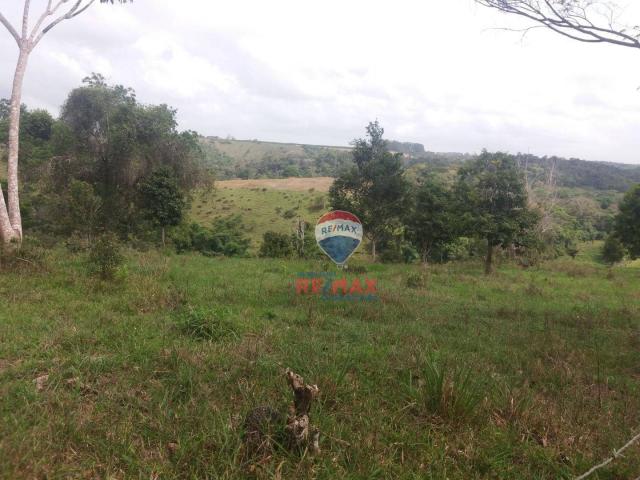 Re/max chave de ouro vende fazendas nas margens do rio buranhém - Foto 11