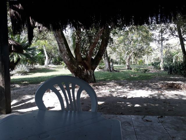 Chácara - Foto 3
