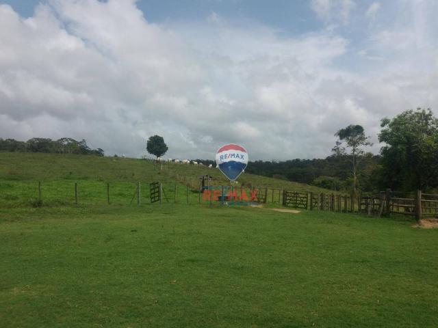 Re/max chave de ouro vende fazendas nas margens do rio buranhém - Foto 14