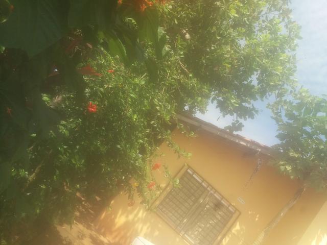 01 - Foto 2