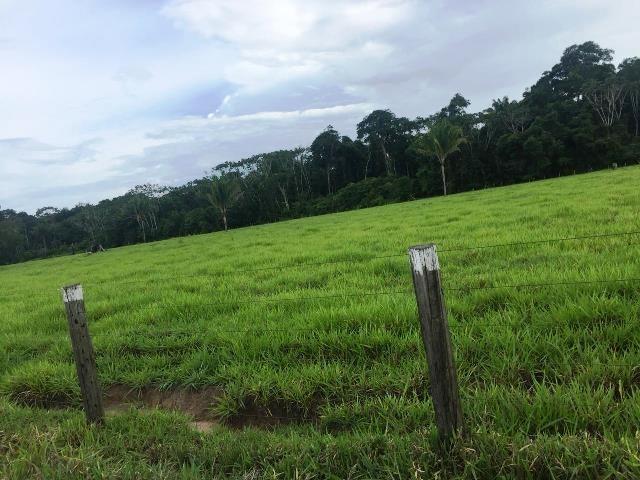 Fazenda 2.904 ha Nova Monte Verde MT - Foto 2