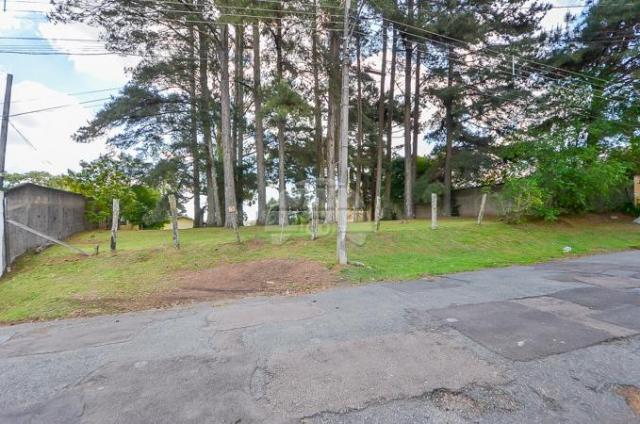 Terreno à venda em Uberaba, Curitiba cod:146250 - Foto 16
