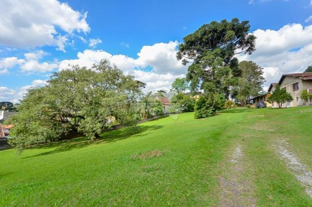Terreno à venda em Uberaba, Curitiba cod:146250 - Foto 9