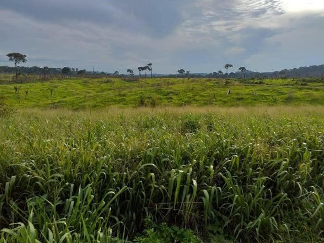 Fazenda 7.600 ha Norte MT - Foto 4