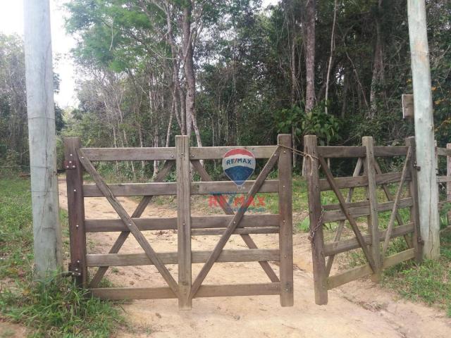 Re/max chave de ouro vende fazendas nas margens do rio buranhém - Foto 6