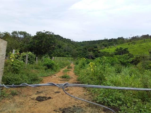 Venda - Foto 2