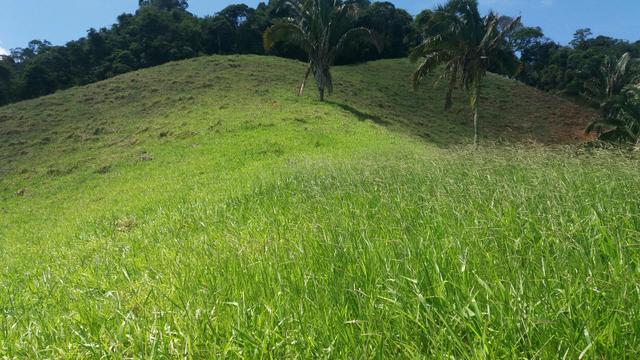 Sitio viana aceito casa em campo grande - Foto 3