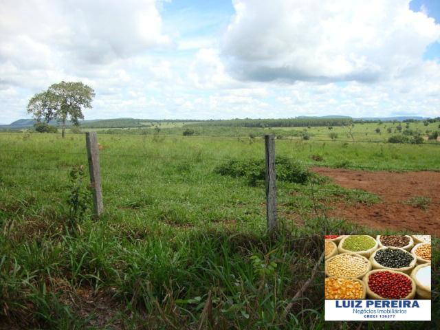 FAZENDA A VENDA de 100 HECTARES EM TERENOS - MS - (Pecuária) - Foto 16